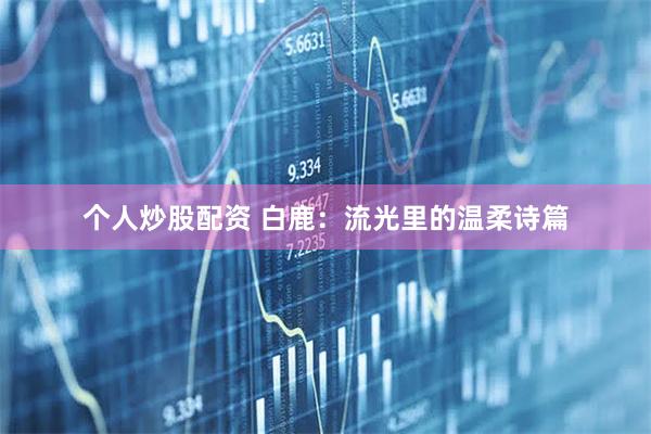 个人炒股配资 白鹿：流光里的温柔诗篇